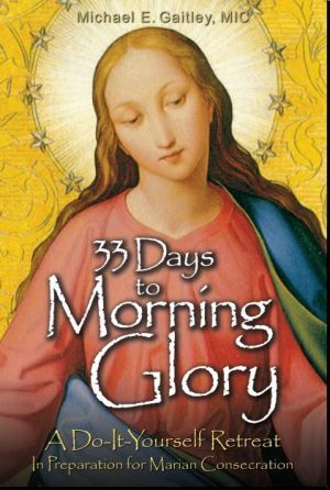 33 Days to Morning Glory (2011)