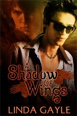 A Shadow of Wings (2013) by Linda Gayle