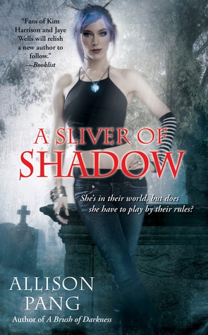 A Sliver of Shadow (2012) by Allison Pang