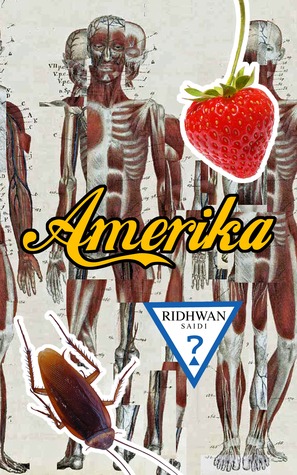 Amerika (2011)