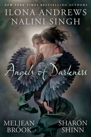 Angels of Darkness (2011) by Ilona Andrews