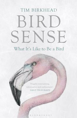 Bird Sense: What It's Like to Be a Bird (2012)