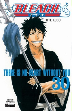 Bleach, Vol. 30: There is No Heart Without You (2000)