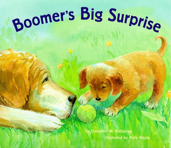 Boomer's Big Surprise (1999)