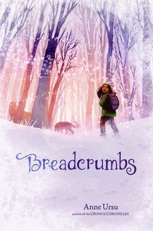 Breadcrumbs (2011) by Anne Ursu