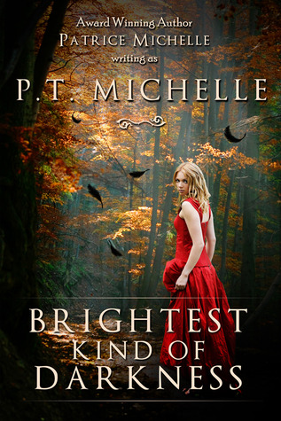 Brightest Kind of Darkness (Brightest Kind of Darkness, #1) (2011) by P.T. Michelle