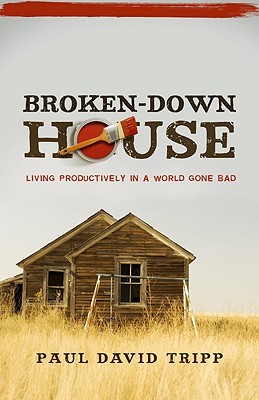 Broken-Down House (2009) by Paul David Tripp