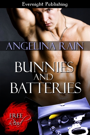 Bunnies and Batteries (2013) by Angelina Rain