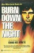 Burn Down the Night (1982) by Craig Kee Strete