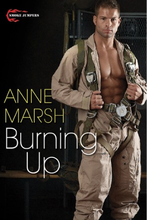 Burning Up (2000) by Anne Marsh