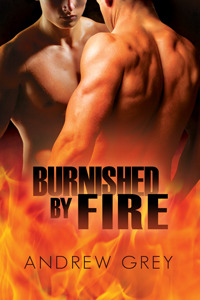 Burnished by Fire (2012) by Andrew  Grey