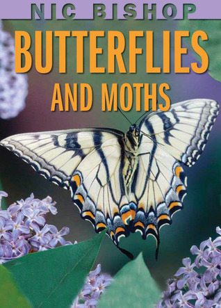 Butterflies And Moths (2009) by Nic Bishop