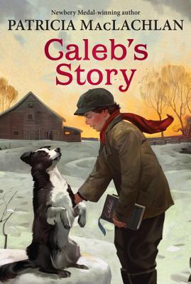 Caleb's Story (2004)