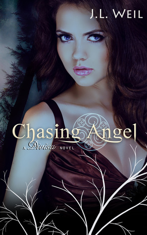 Chasing Angel (2014) by J.L. Weil
