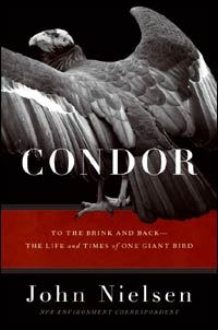 Condor: To the Brink and Back--The Life and Times of One Giant Bird (2006) by John Nielsen