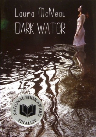 Dark Water (2010) by Laura McNeal