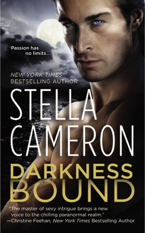 Darkness Bound (2012) by Stella Cameron