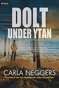 Dolt Under Ytan (2013) by Carla Neggers