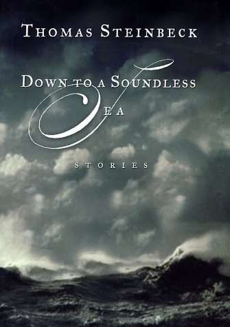 Down to a Soundless Sea (2002) by Thomas Steinbeck