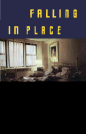 Falling in Place (1991)