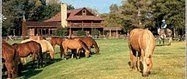 Falls Chance Ranch (2000) by Rolf