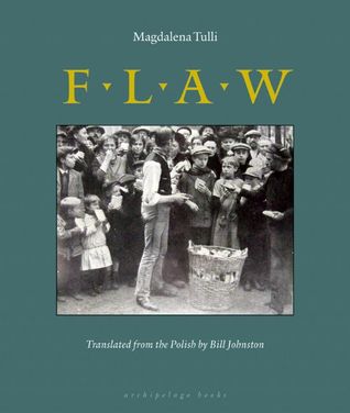 Flaw (2007) by Bill Johnston