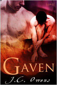 Gaven (2009)