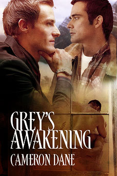 Grey's Awakening (2009)