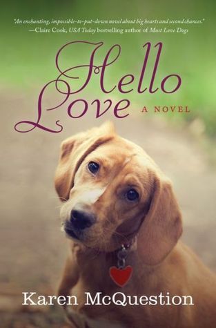 Hello Love (2014)