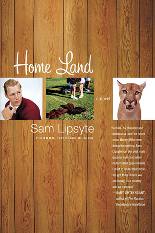 Home Land (2005) by Sam Lipsyte