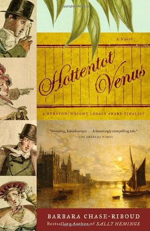 Hottentot Venus: A Novel (2004)
