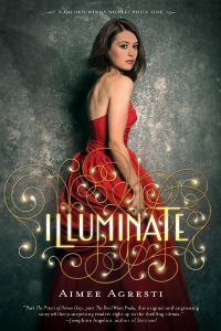Illuminate (2012) by Aimee Agresti