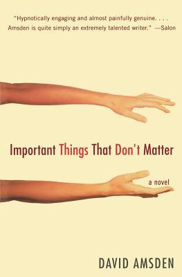 Important Things That Don't Matter: A Novel (2004) by David Amsden