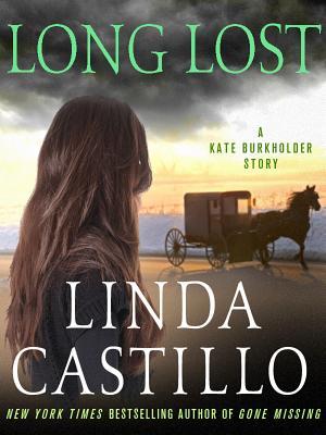 Long Lost (2013) by Linda Castillo