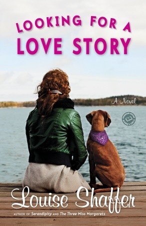 Looking for a Love Story (2010) by Louise Shaffer