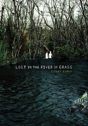 Lost in the River of Grass (2011) by Ginny Rorby