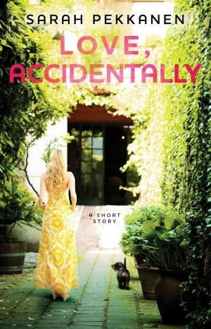 Love, Accidentally (2011) by Sarah Pekkanen