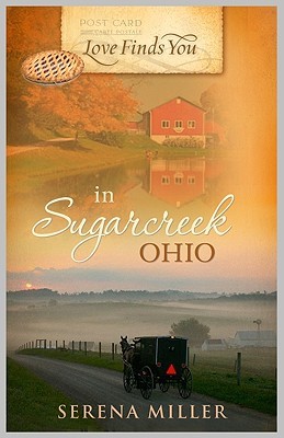 Love Finds You in Sugarcreek, Ohio (2010)