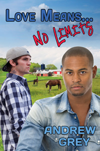 Love Means... No Limits (2013) by Andrew  Grey