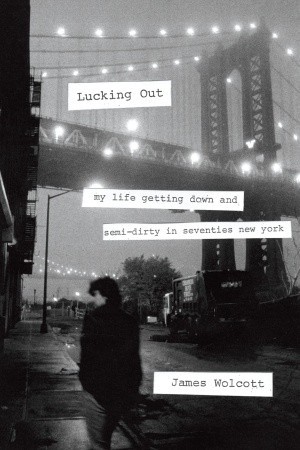 Lucking Out: My Life Getting Down and Semi-Dirty in the Seventies (2011)