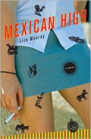 Mexican High (2008) by Liza Monroy