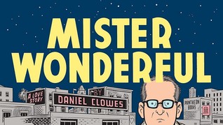 Mister Wonderful: A Love Story (2011)