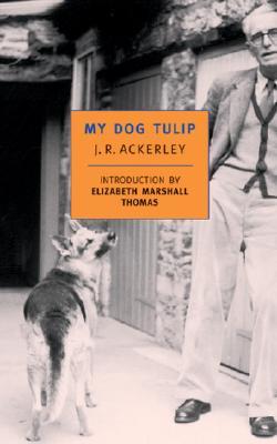 My Dog Tulip (1999) by Elizabeth Marshall Thomas