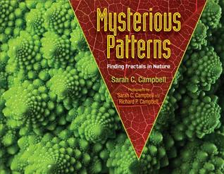 Mysterious Patterns: Finding Fractals in Nature (2014) by Sarah C. Campbell