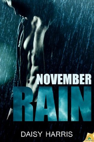 November Rain (2014)