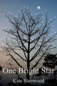 One Bright Star (2012) by Kate Sherwood