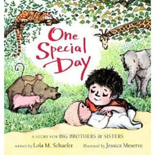 One Special Day: A Story for Big Brothers and Sisters (2012)