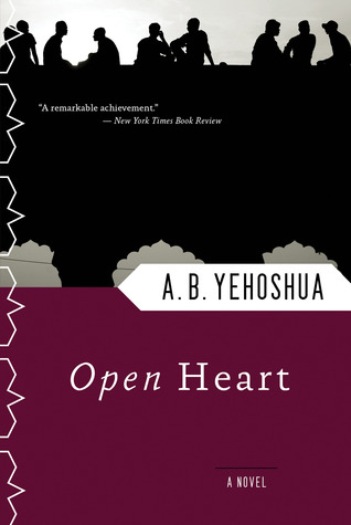 Open Heart (1997) by Dalya Bilu