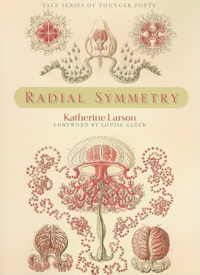 Radial Symmetry (2011) by Katherine Larson