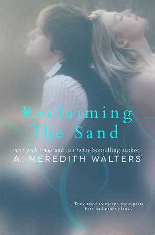 Reclaiming the Sand (2000) by A. Meredith Walters